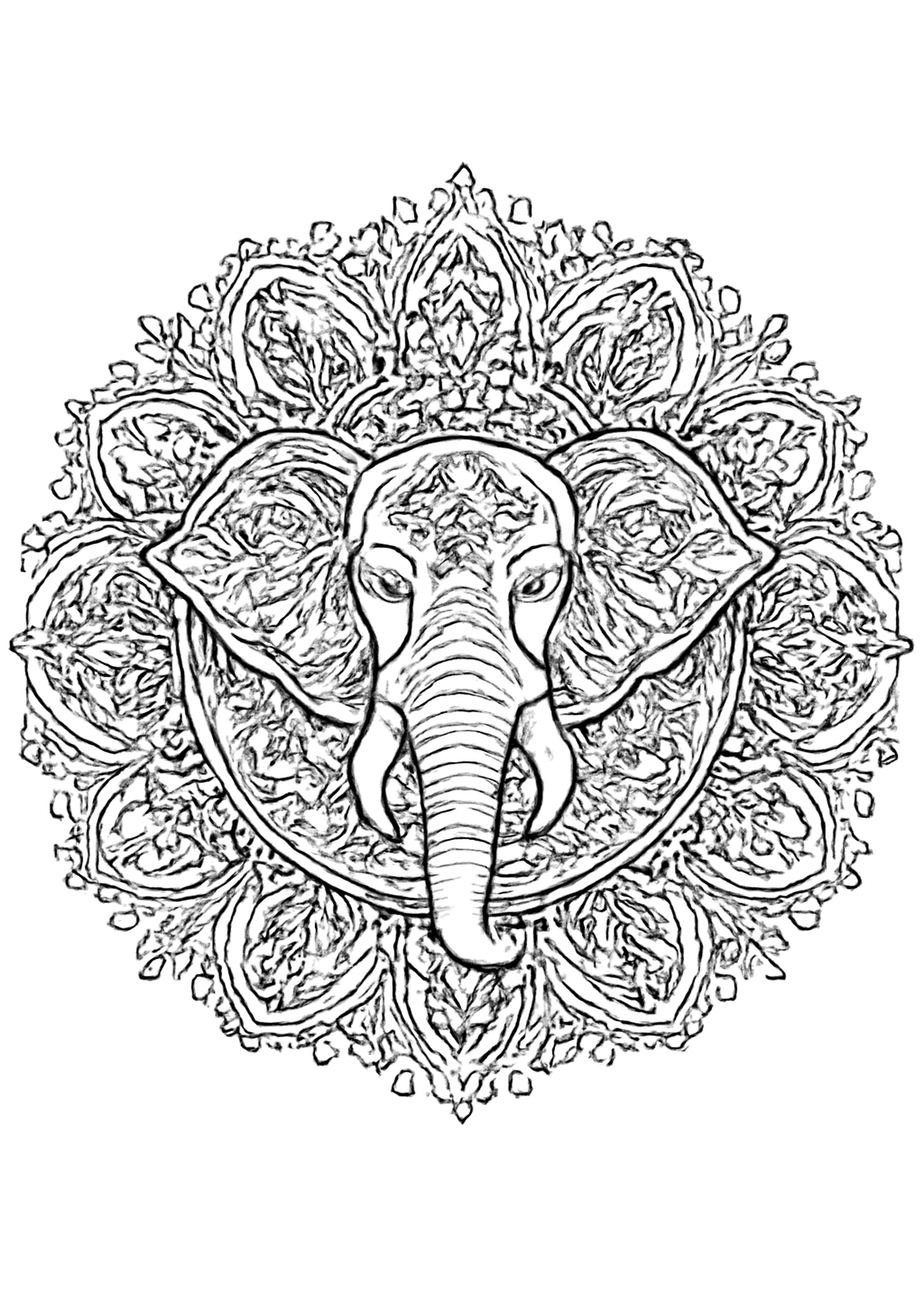 Coloriage mandala animal a imprimer, dessin au trait simple pour enfants