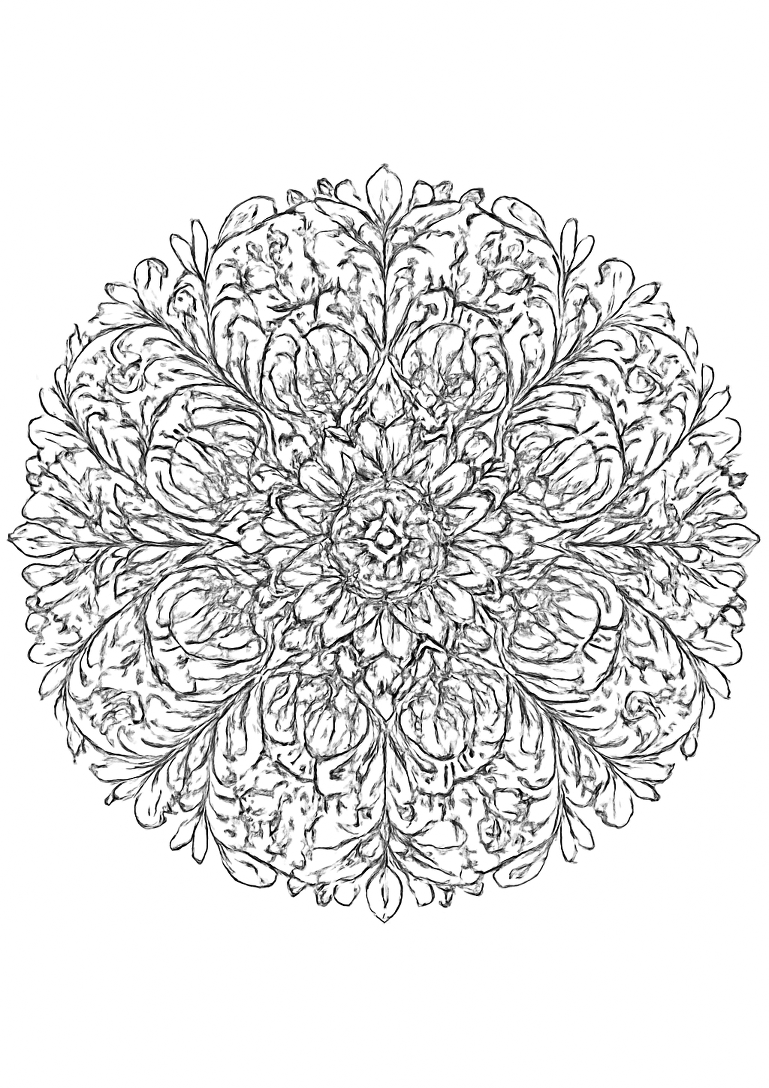 Coloriage mandala floral a imprimer, dessin au trait simple pour enfants